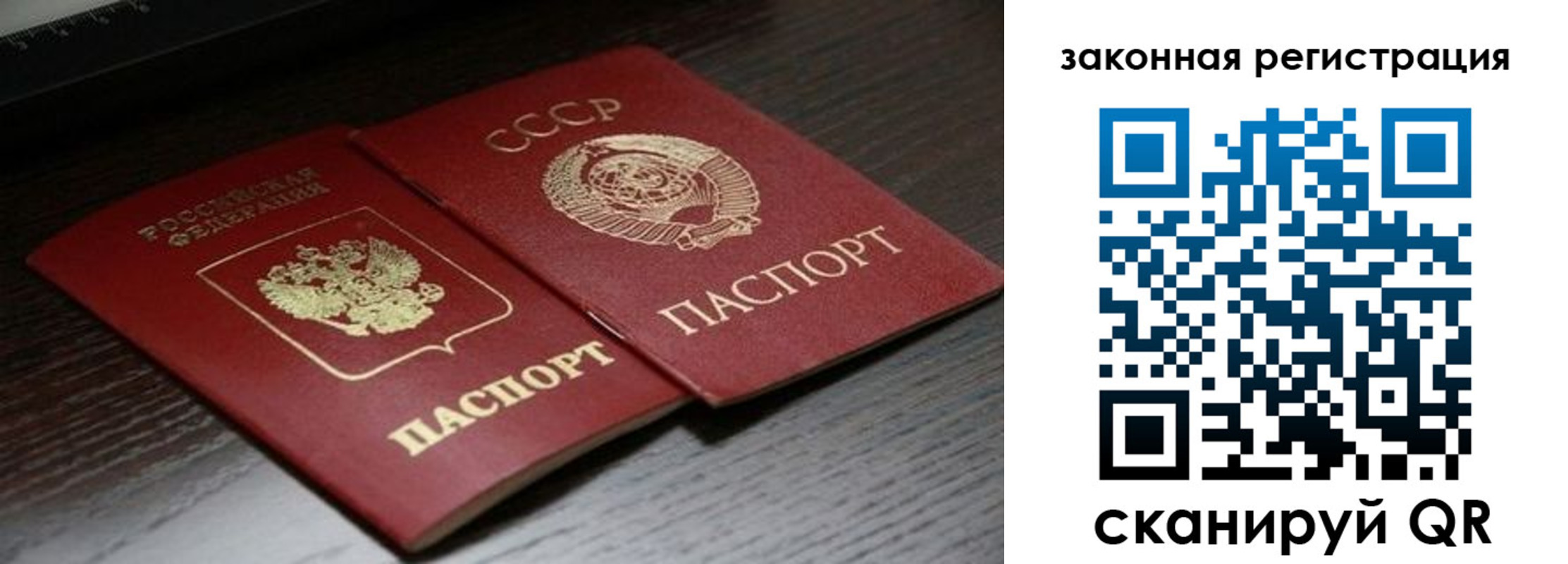 прописка поиск в Северной Осетии